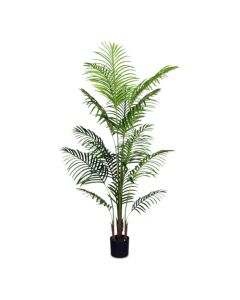 Bynbbur Palm Tree - Customizable with Item package quantity and Size